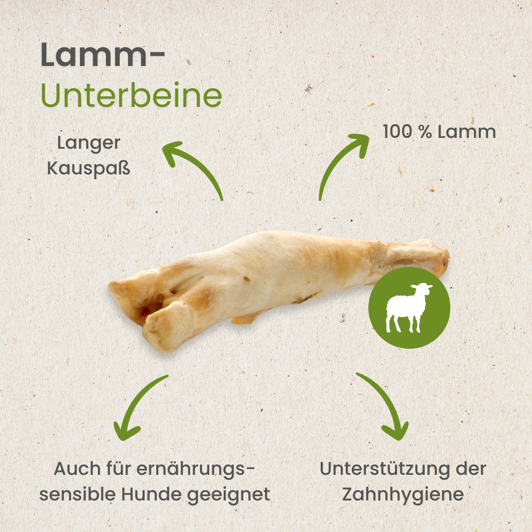 Lamm-Unterbeine
