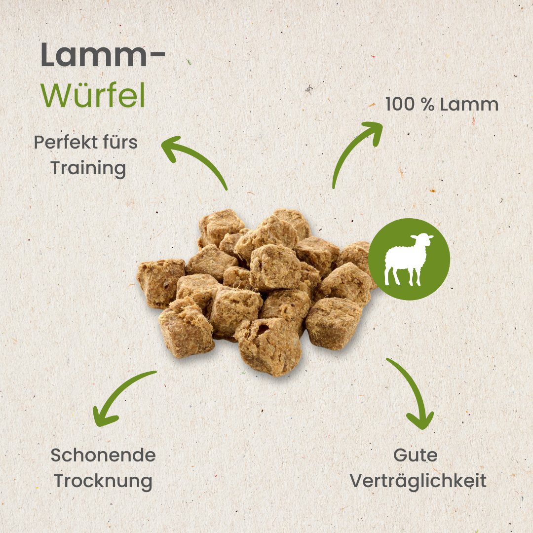 Lamm-Würfel