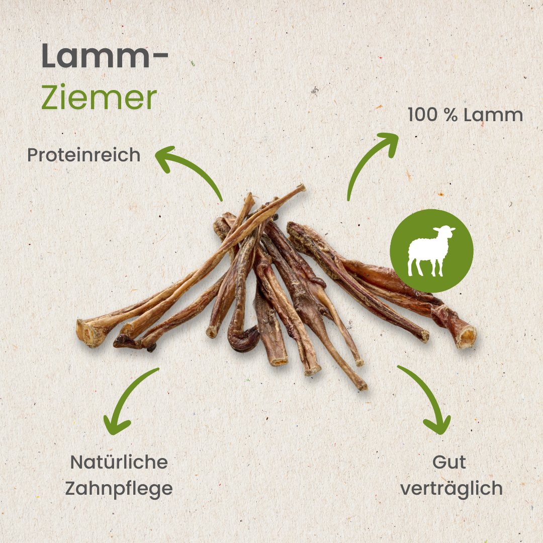 Lamm-Ziemer