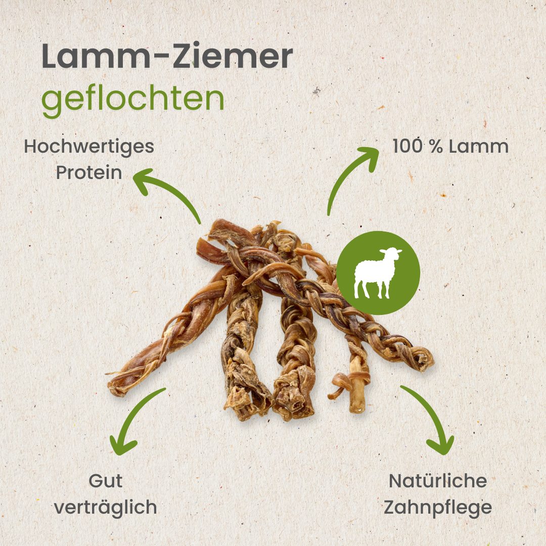 Lamm-Ziemer, geflochten