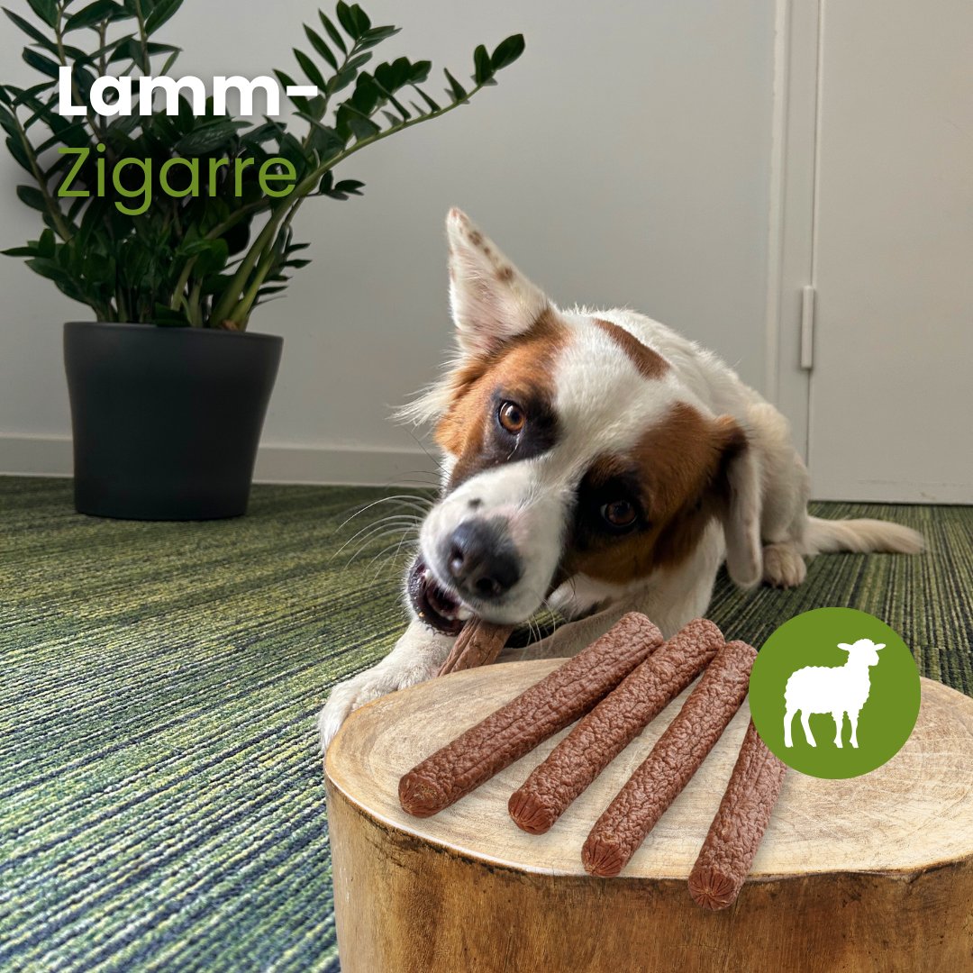 Lamm-Zigarre
