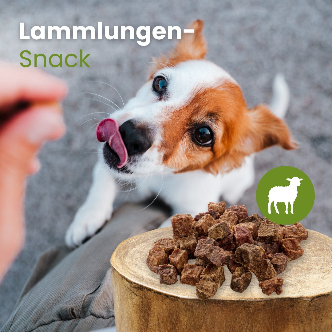 Lamm-Lungensnack
