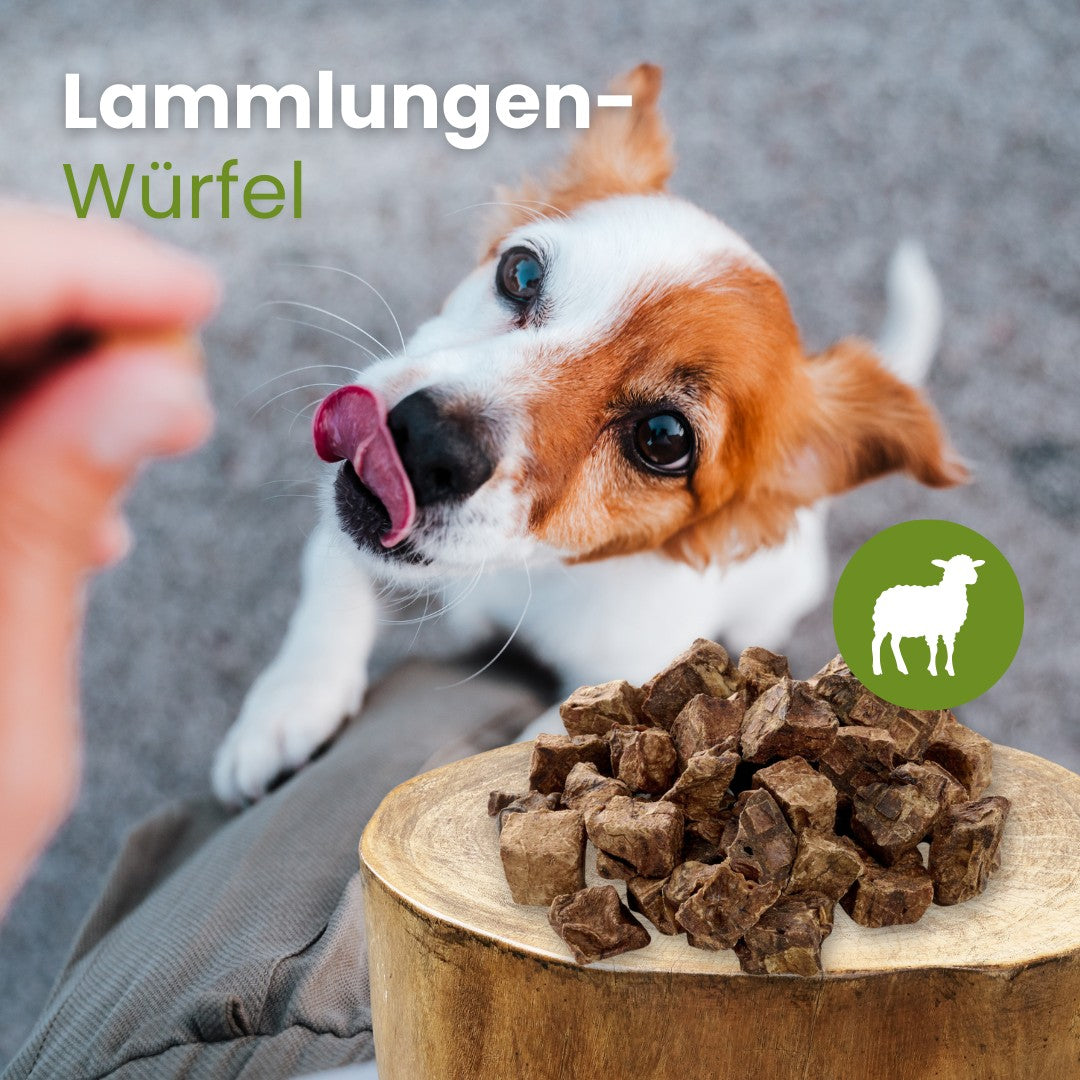Lamm-Lungenwürfel
