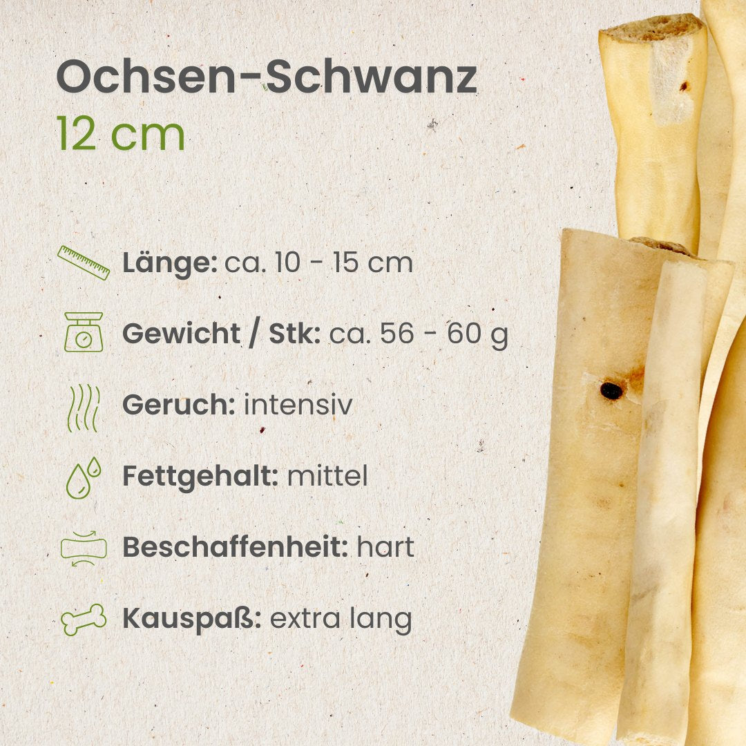 Ochsen-Schwanz, 12cm