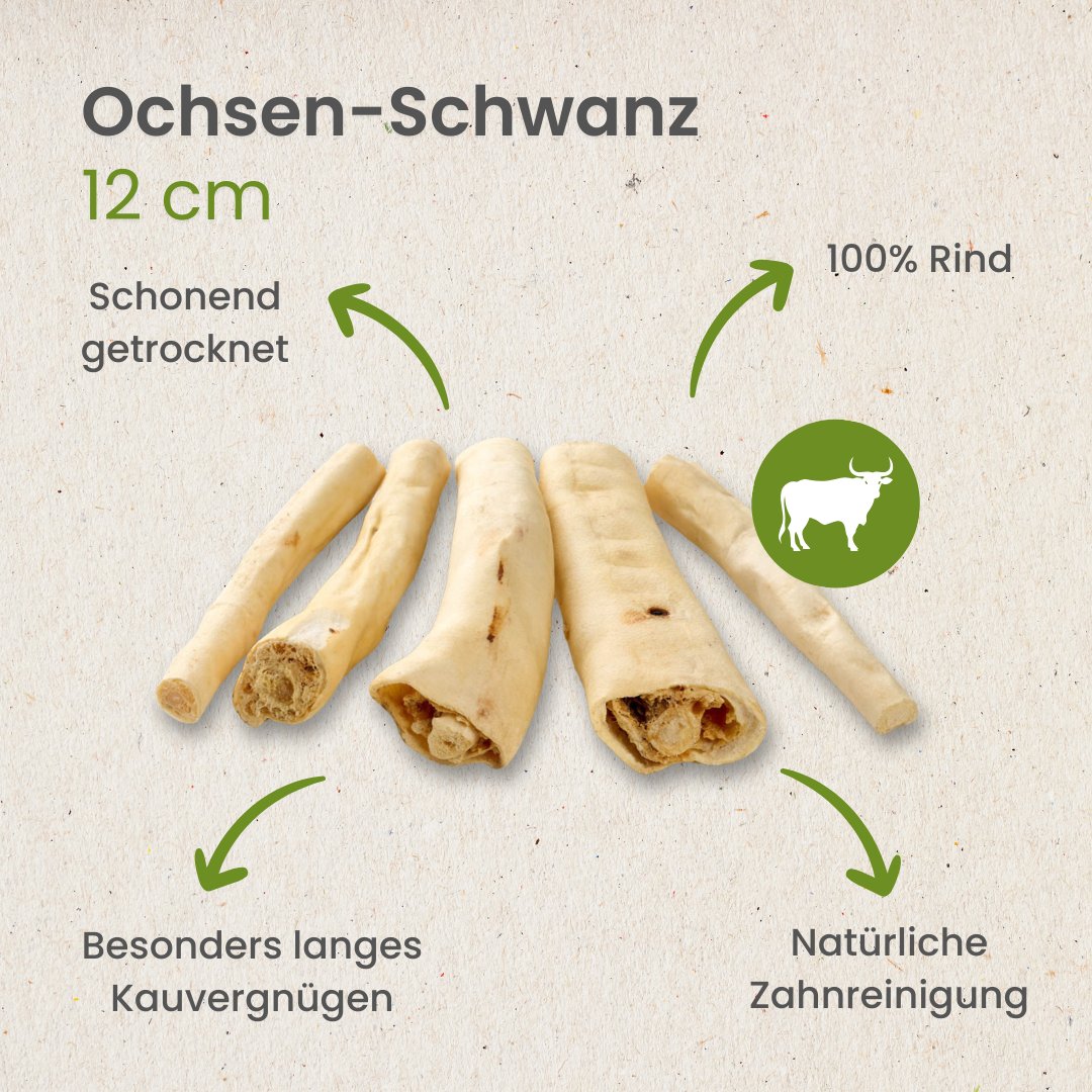 Ochsen-Schwanz, 12cm