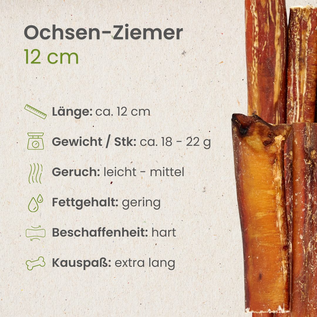 Ochsen-Ziemer, 12cm