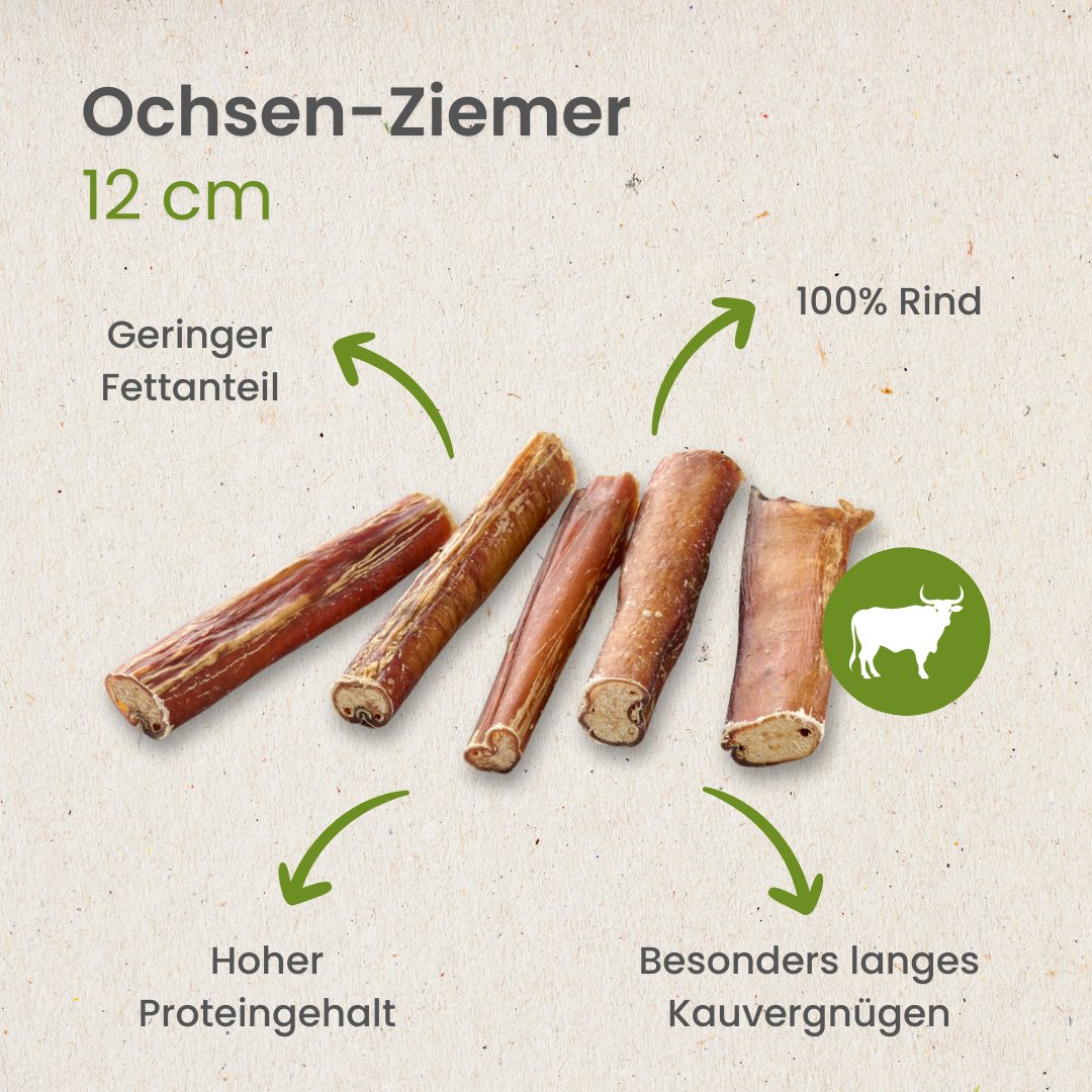 Ochsen-Ziemer, 12cm