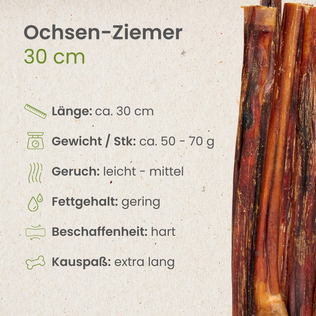 Ochsen-Ziemer, 30cm