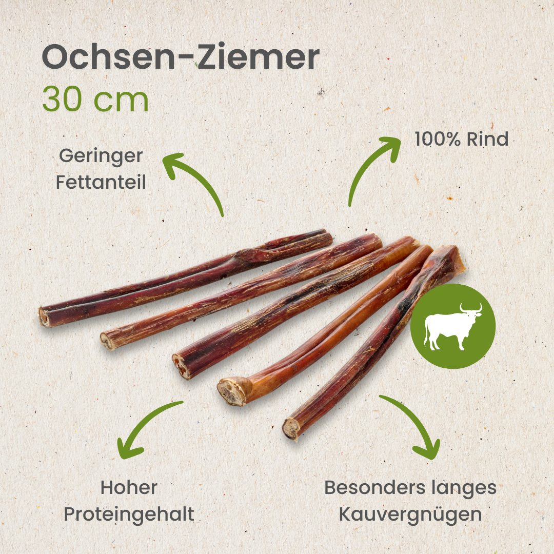 Ochsen-Ziemer, 30cm