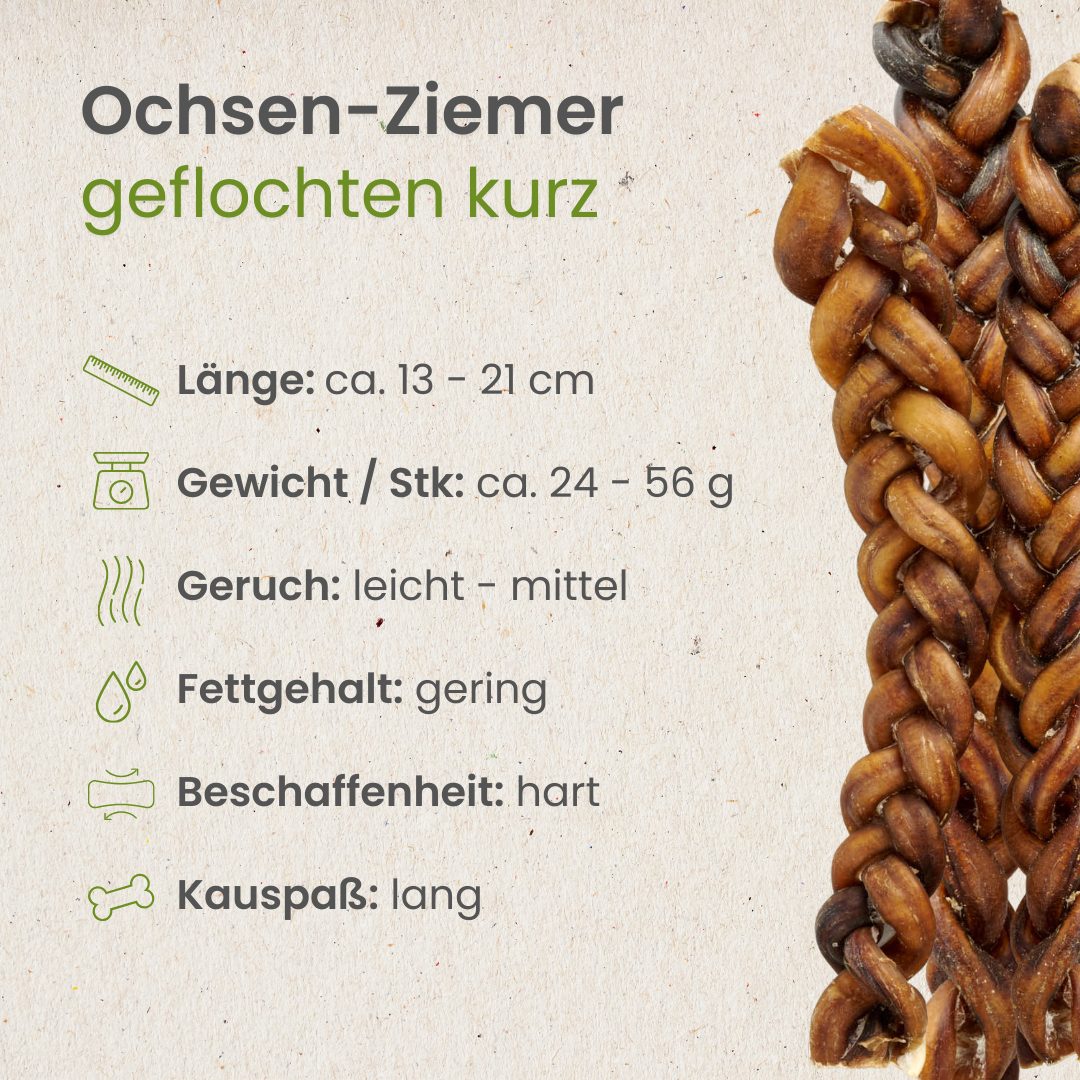 Ochsen-Ziemer, geflochten kurz