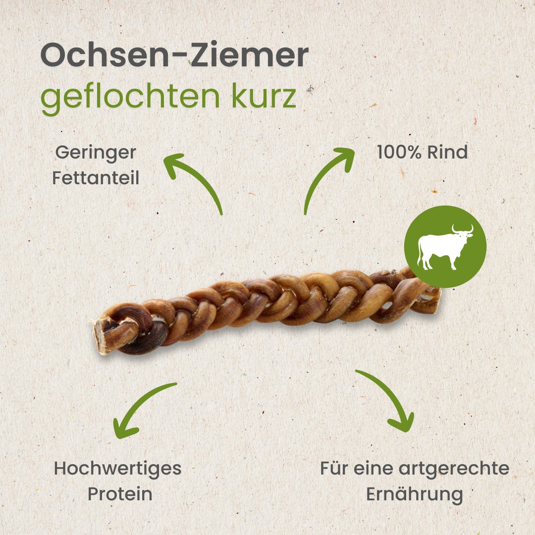 Ochsen-Ziemer, geflochten kurz