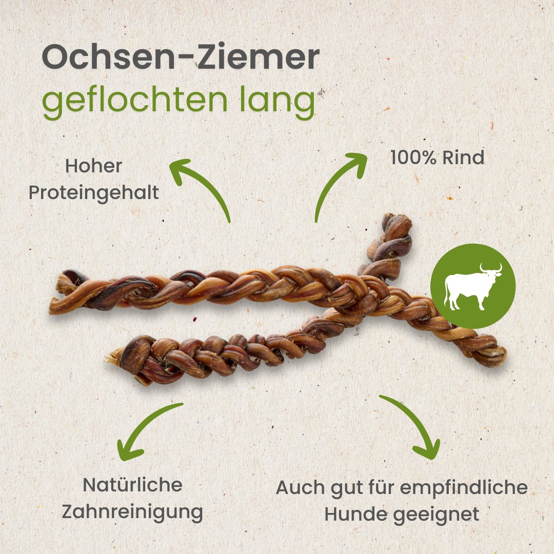 Ochsen-Ziemer, geflochten lang