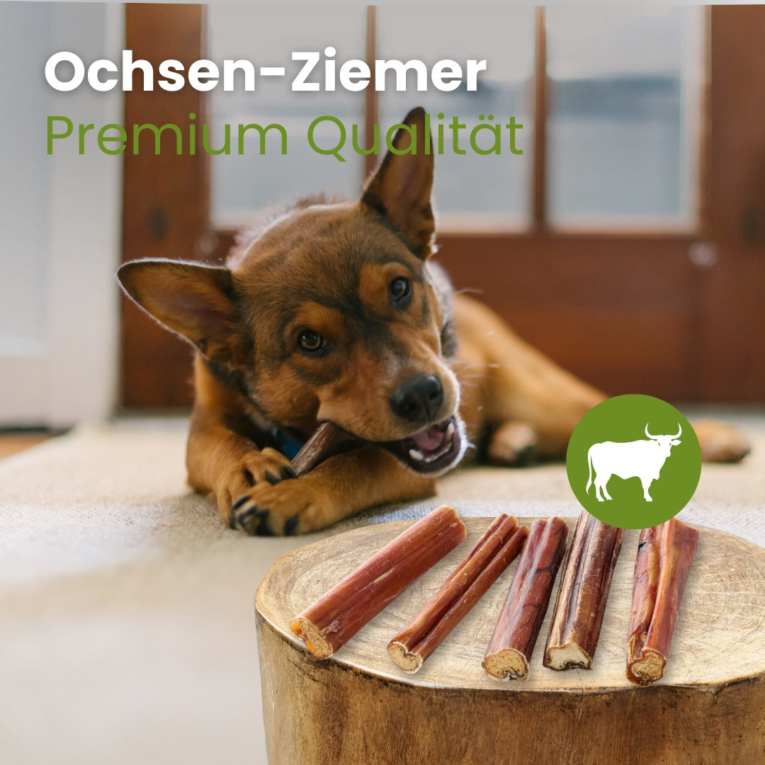 Ochsen-Ziemer Premium Qualität