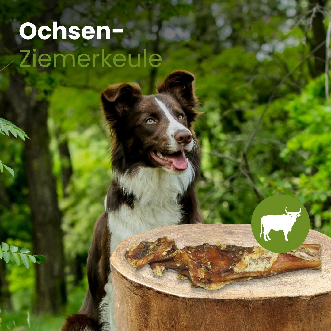Ochsen-Ziemerkeule