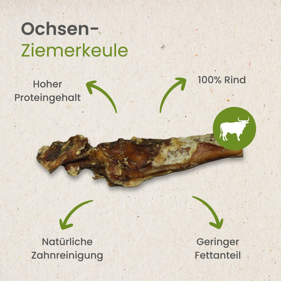 Ochsen-Ziemerkeule