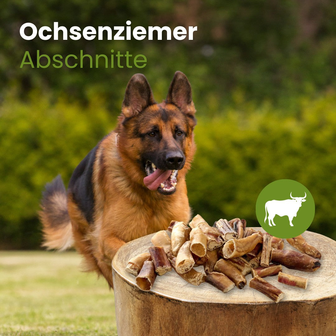Ochsenziemer Abschnitte