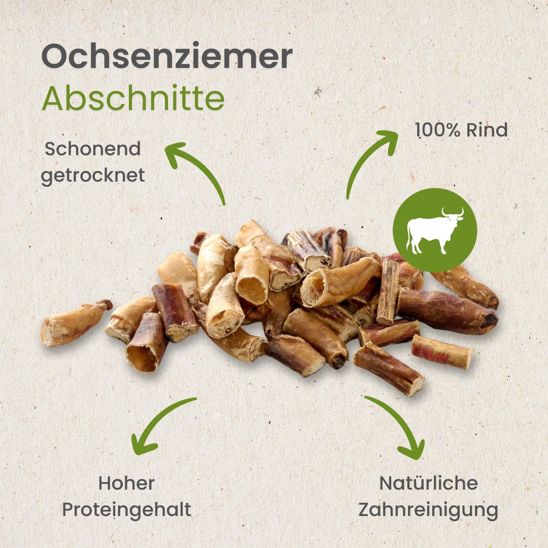 Ochsenziemer Abschnitte