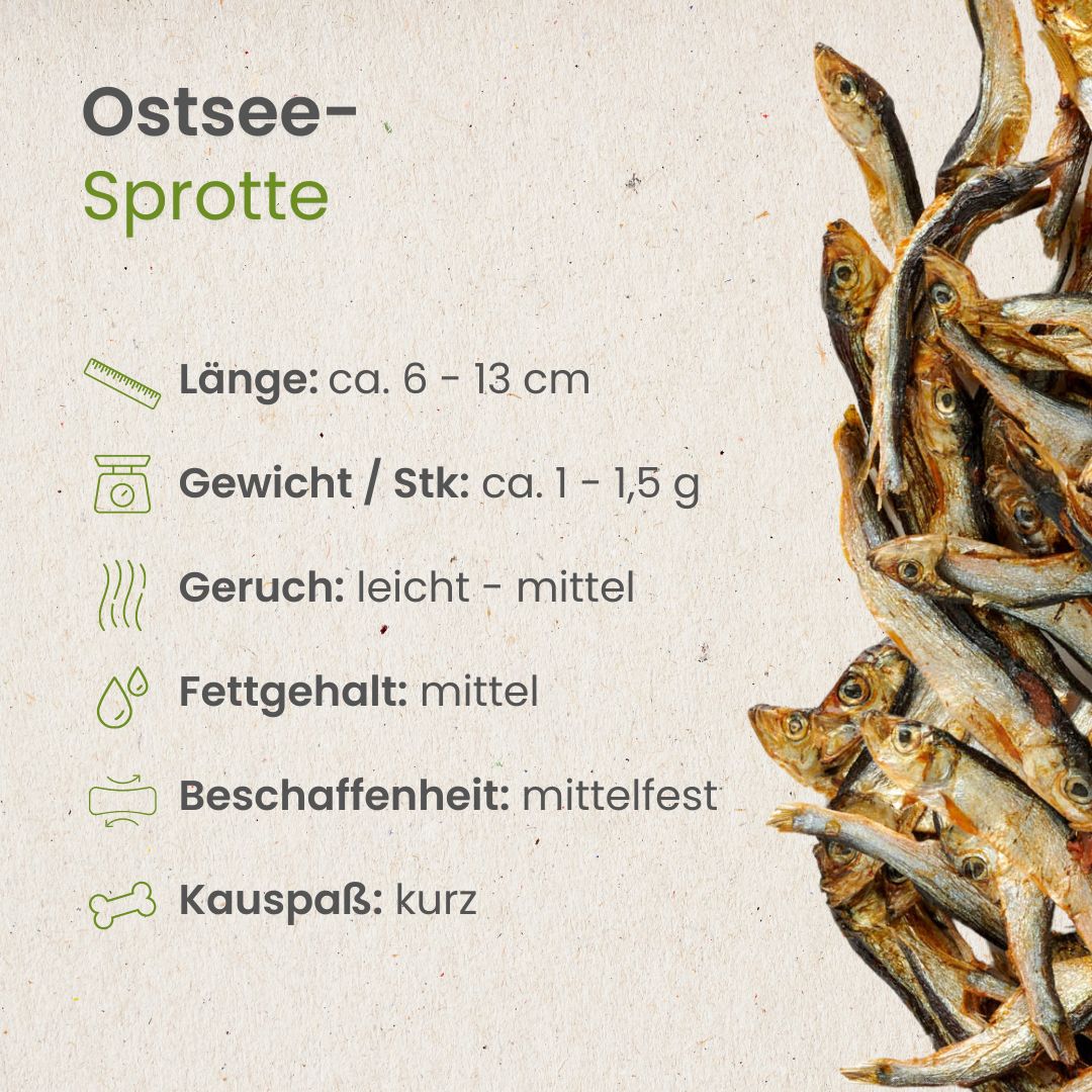 Ostsee-Sprotte