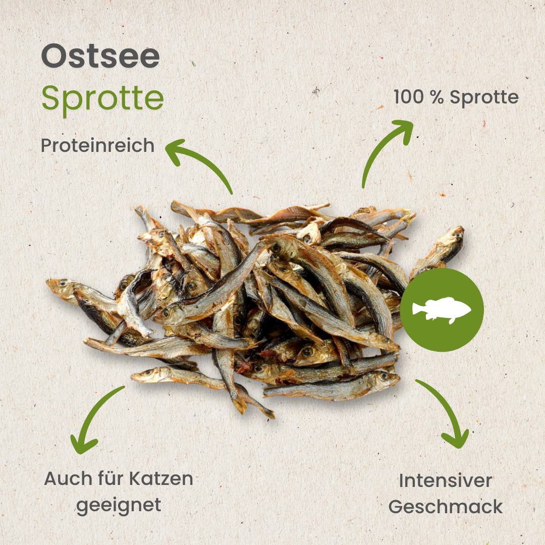 Ostsee-Sprotte