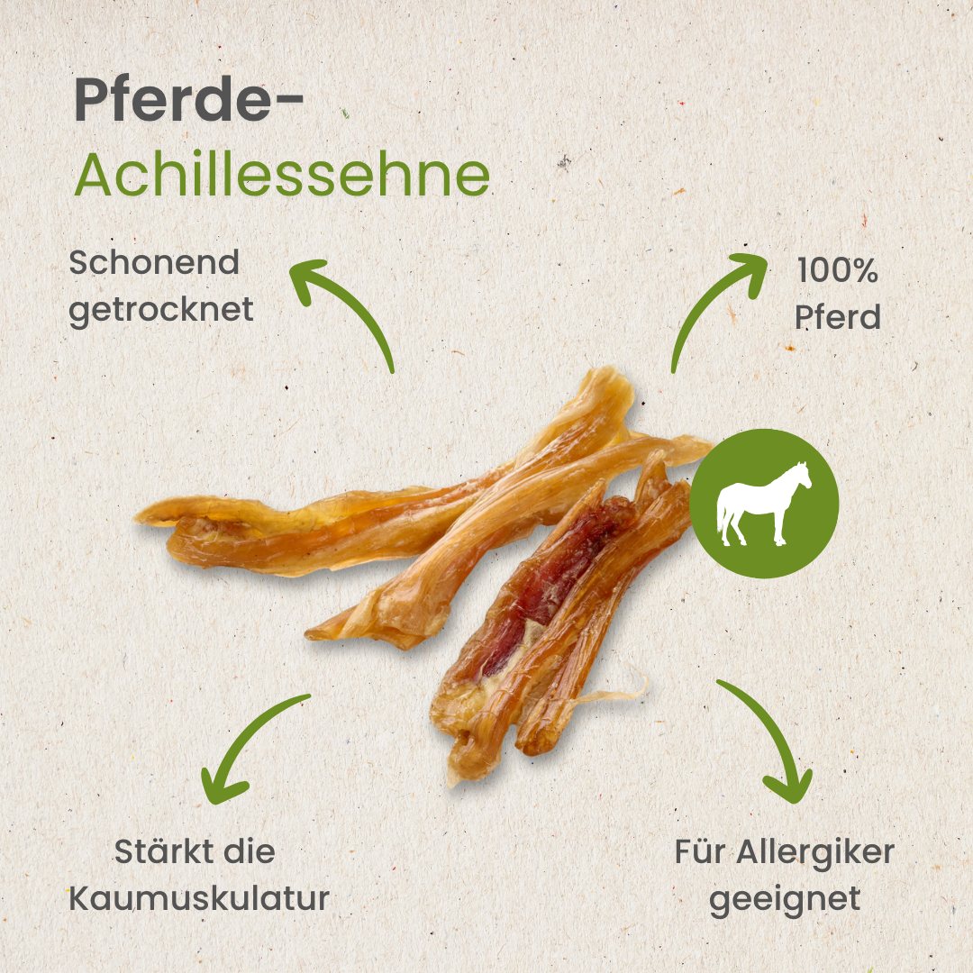 Pferde-Achillessehne