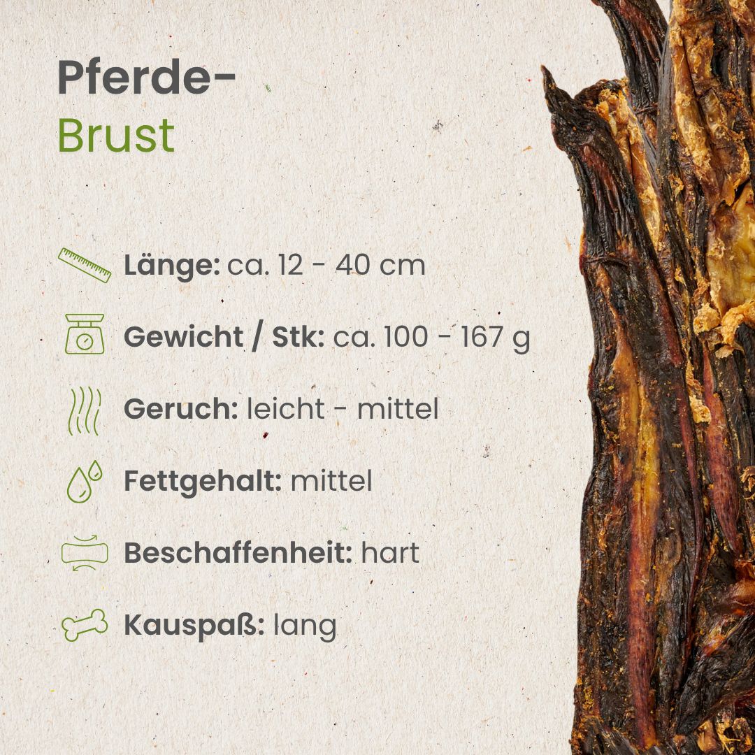 Pferde-Brust