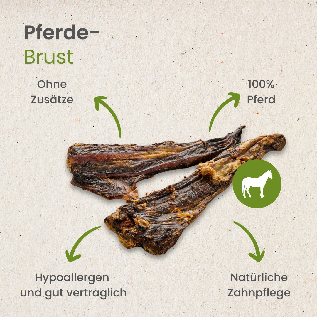 Pferde-Brust