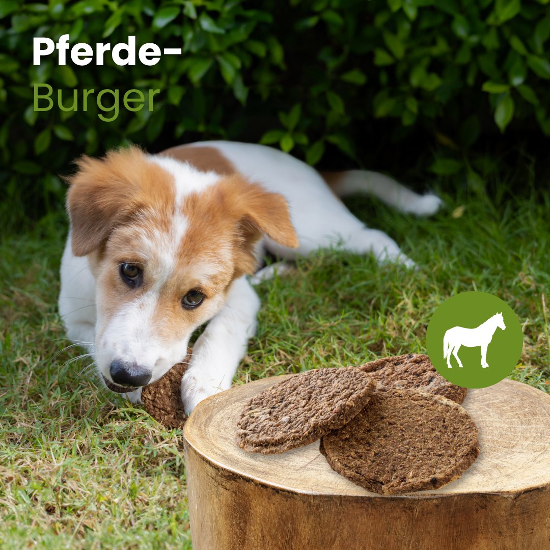 Pferde-Burger