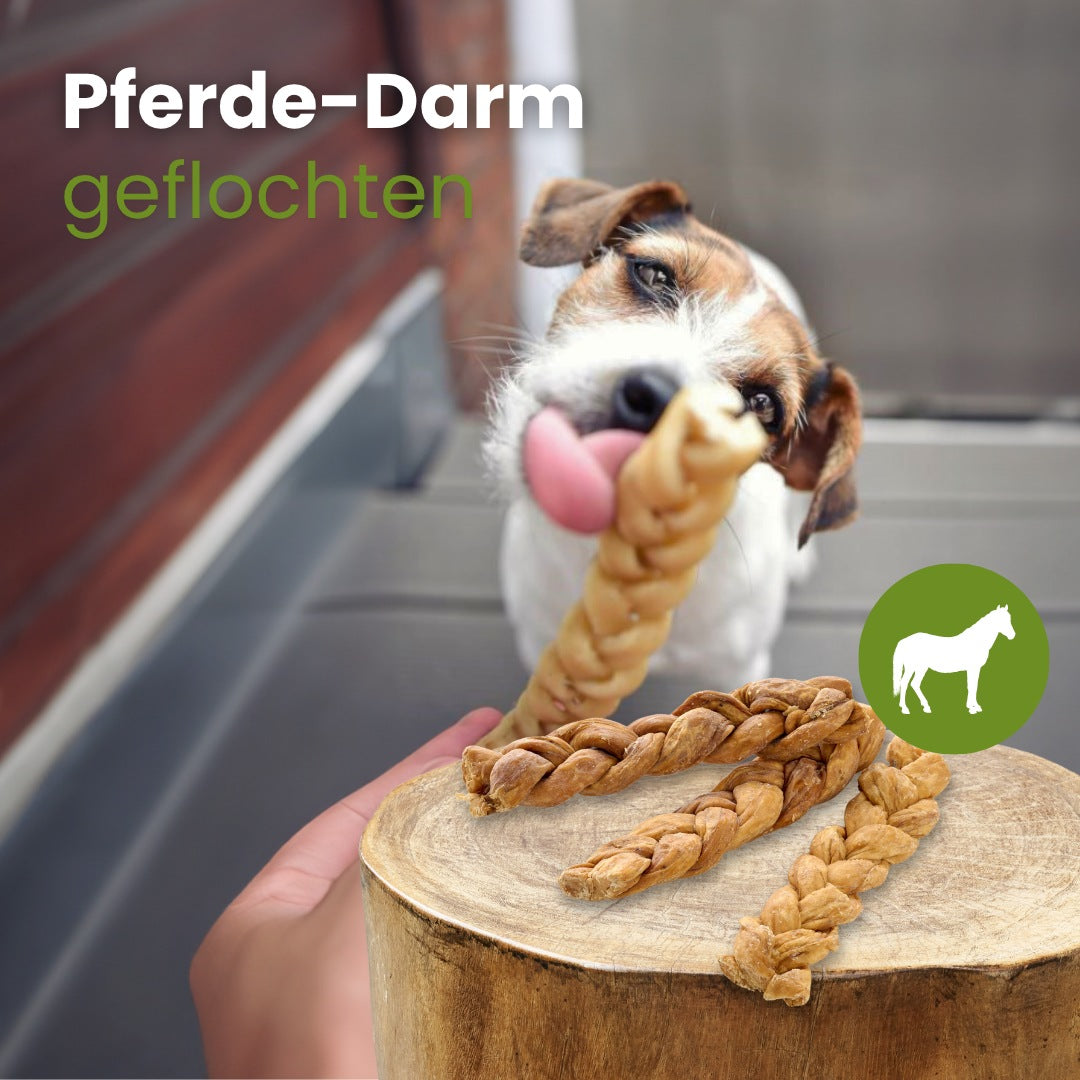 Pferde-Darm, geflochten