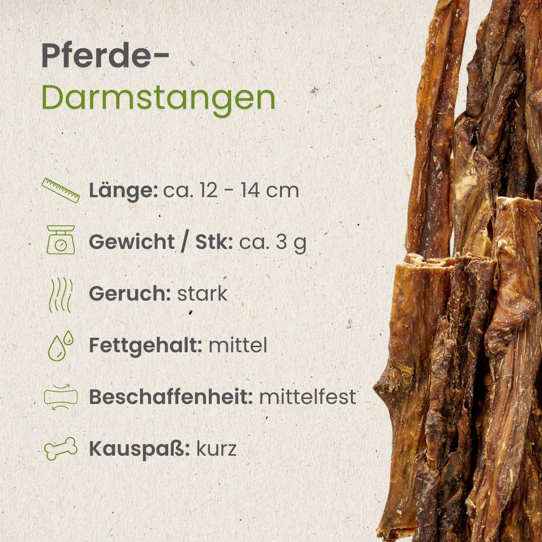 Pferde-Darmstangen