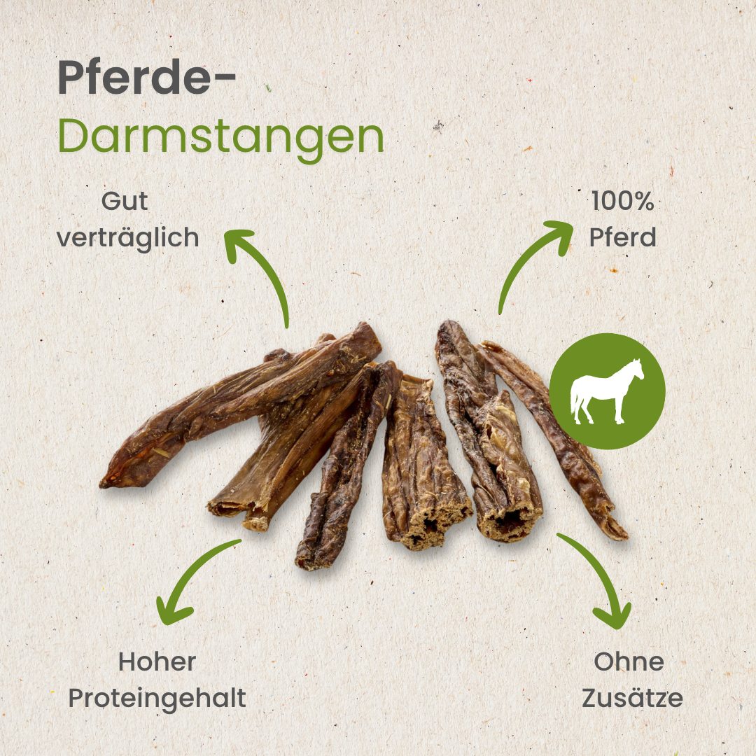 Pferde-Darmstangen