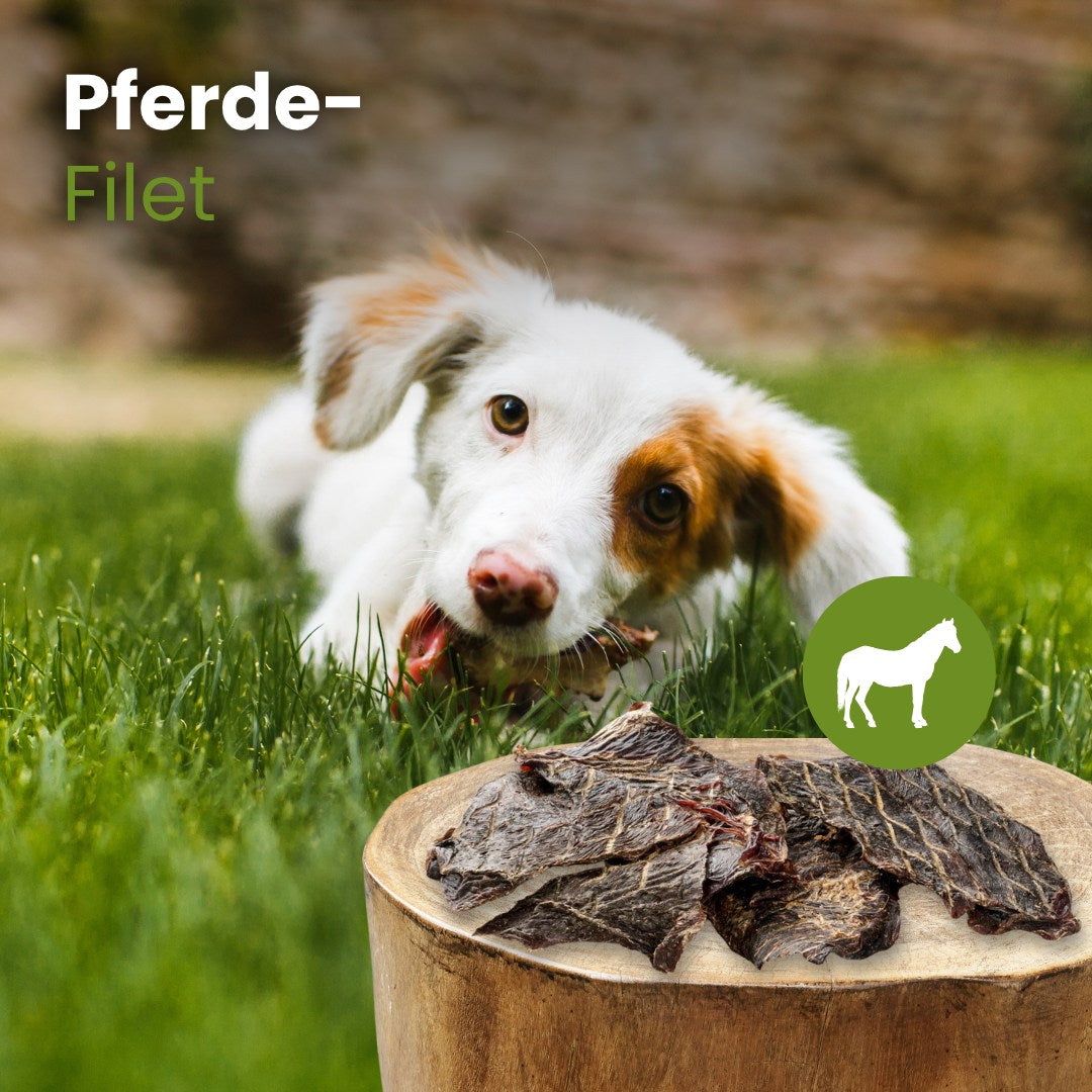 Pferde-Filet