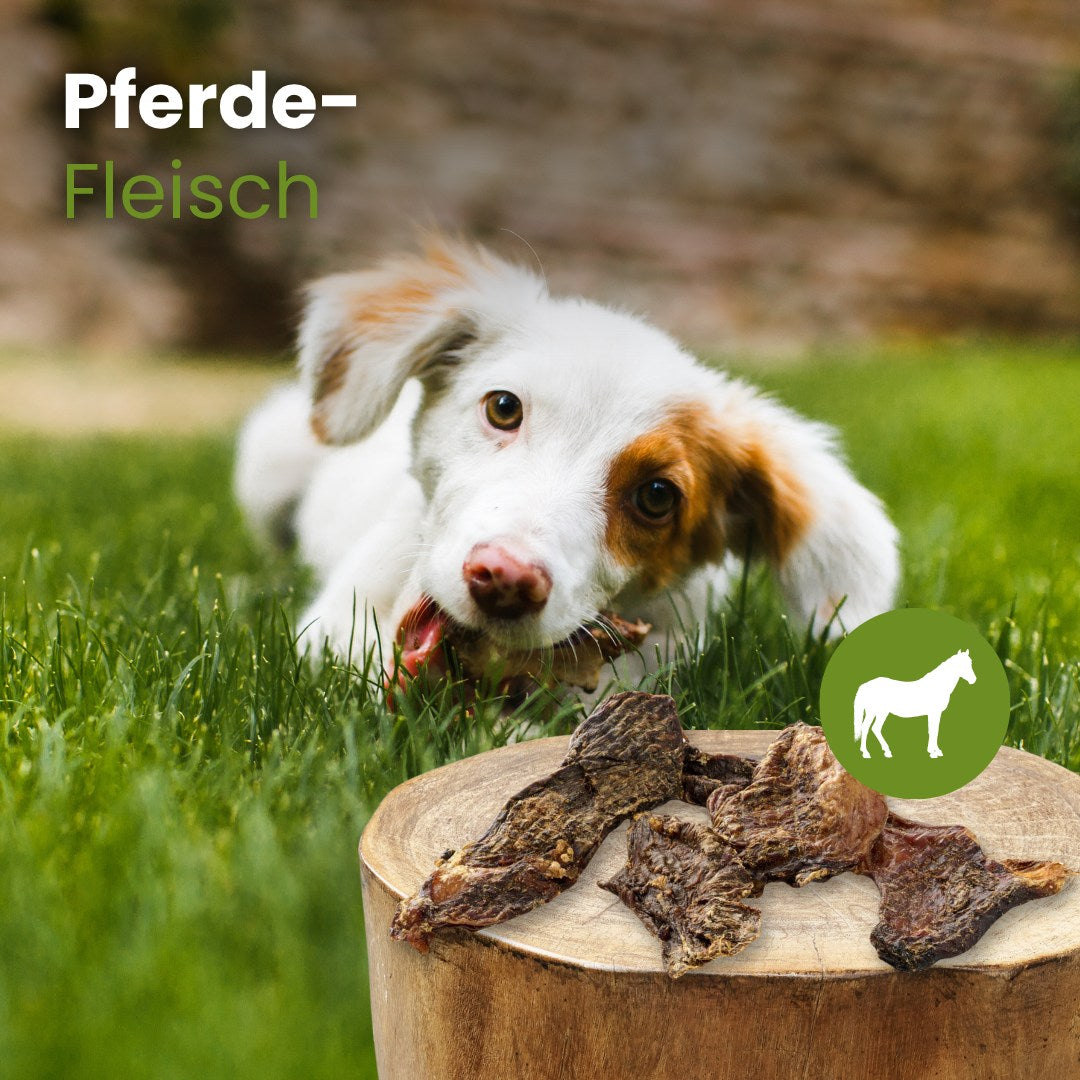 Pferde-Fleisch