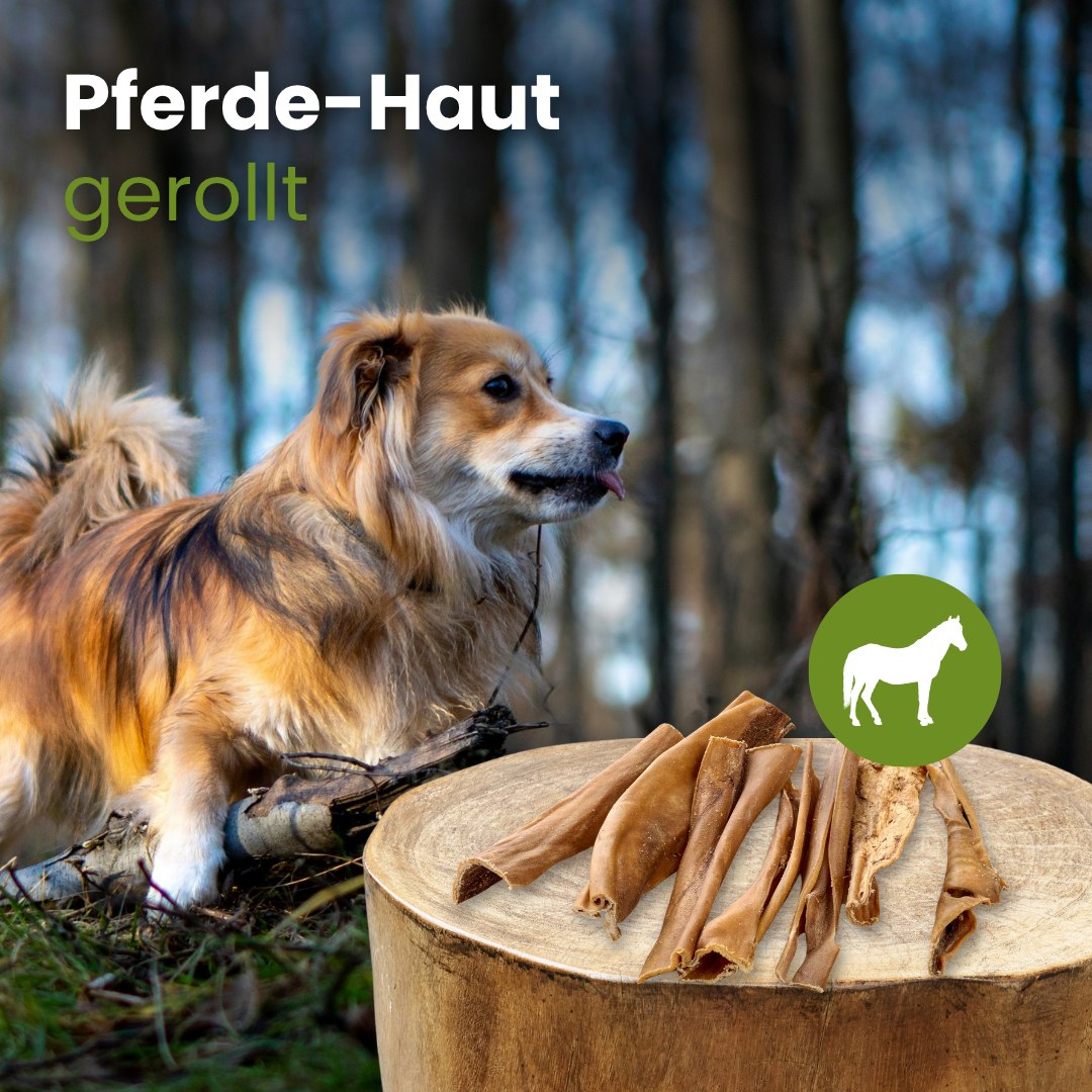 Pferde-Haut, gerollt