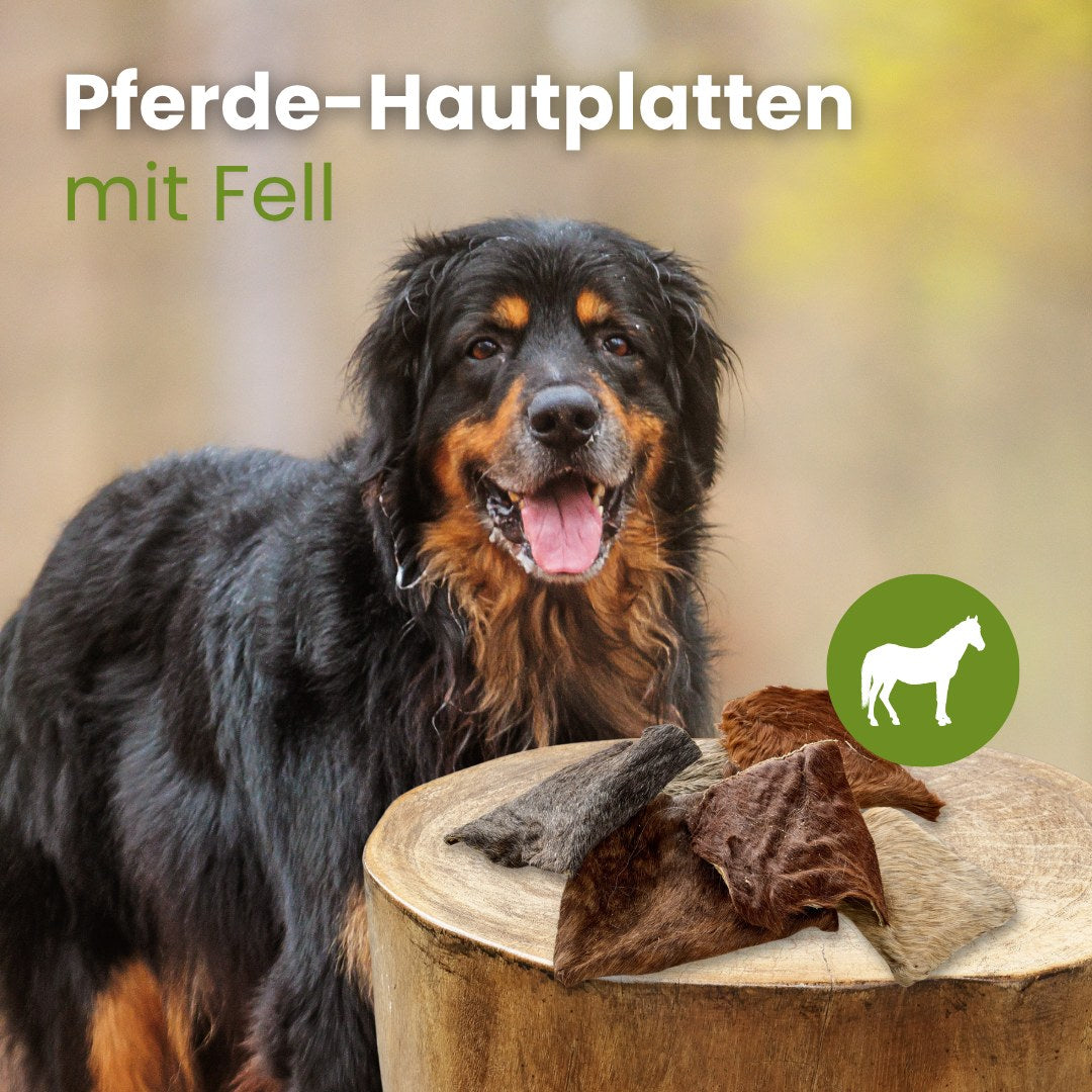 Pferde-Hautplatten mit Fell