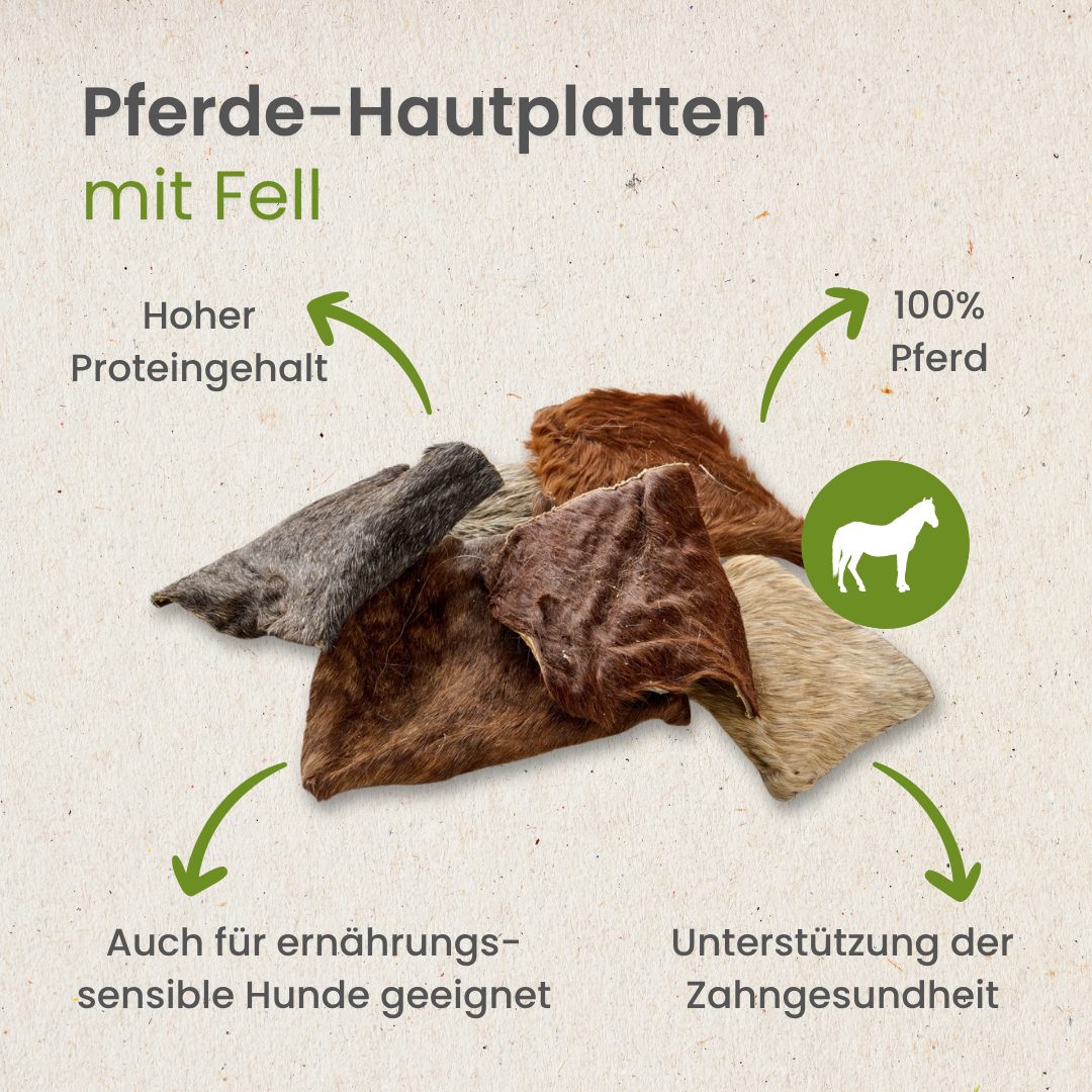 Pferde-Hautplatten mit Fell