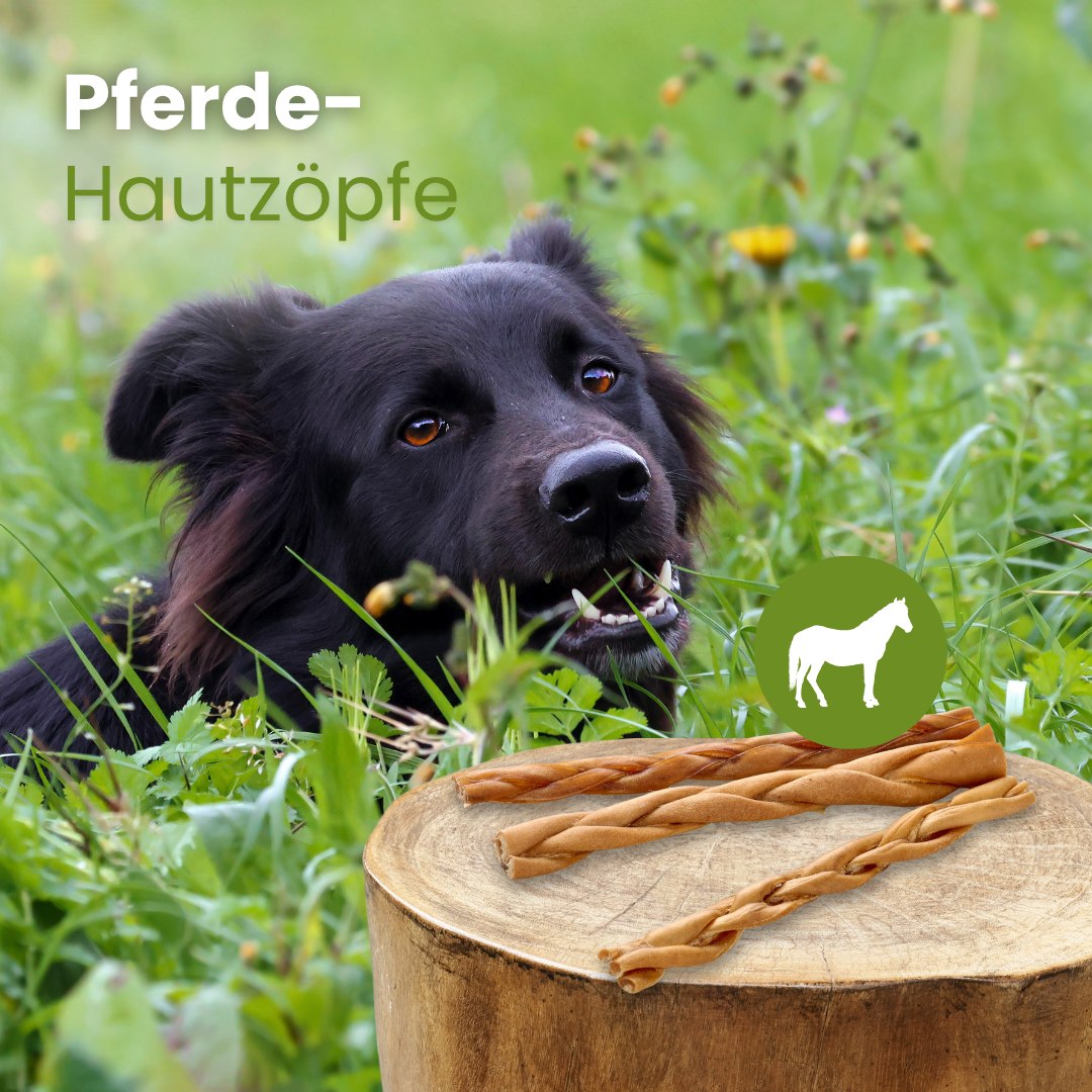 Pferde-Zöpfe