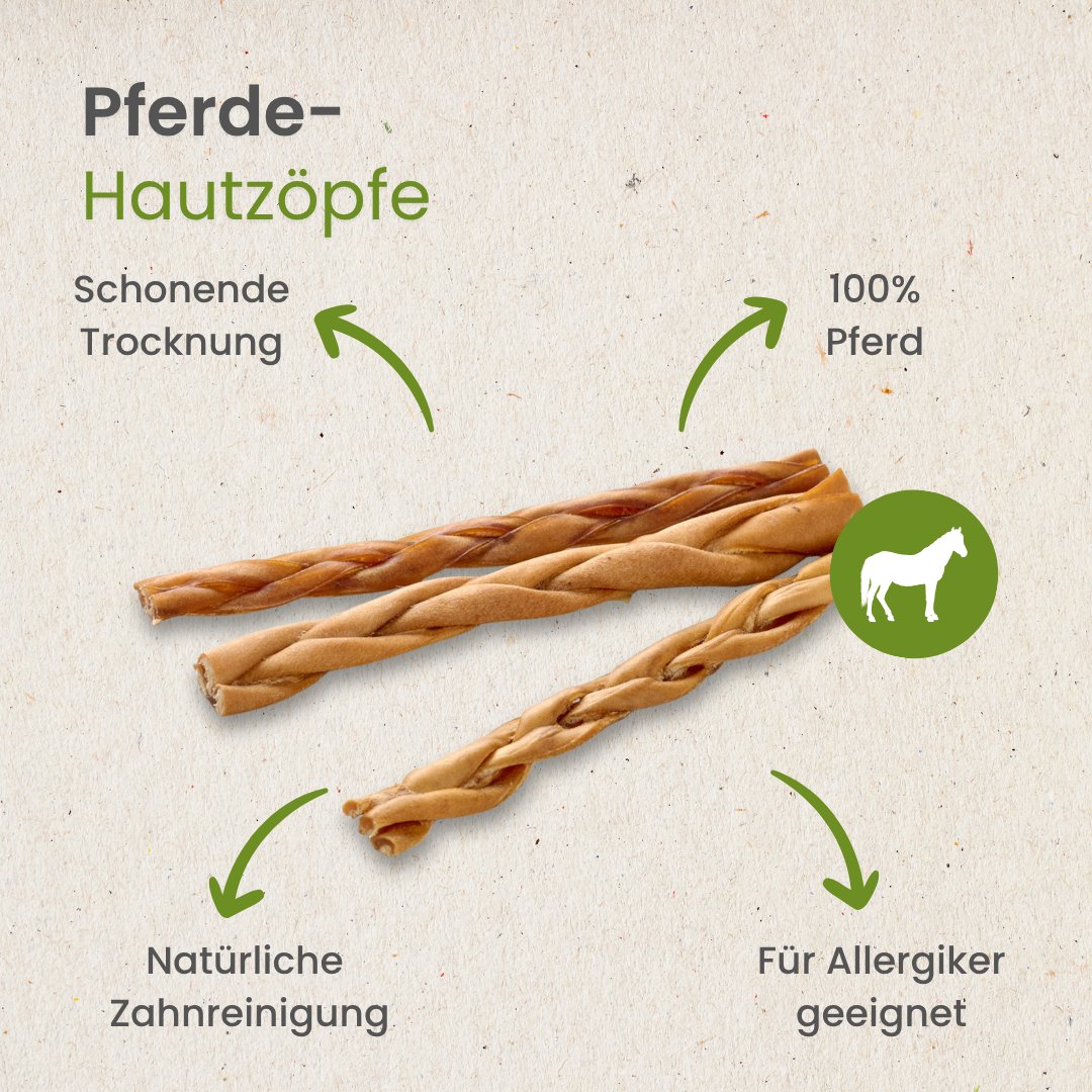 Pferde-Zöpfe