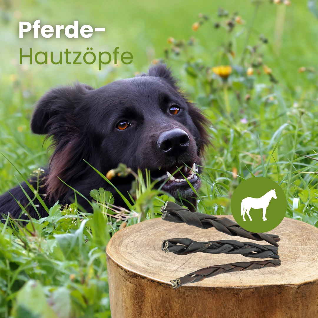 Pferde-Zöpfe