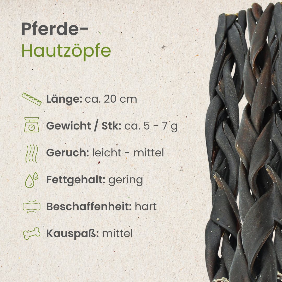 Pferde-Zöpfe