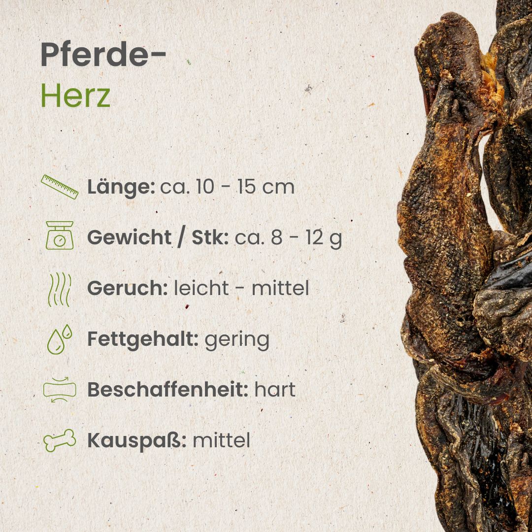 Pferde-Herz
