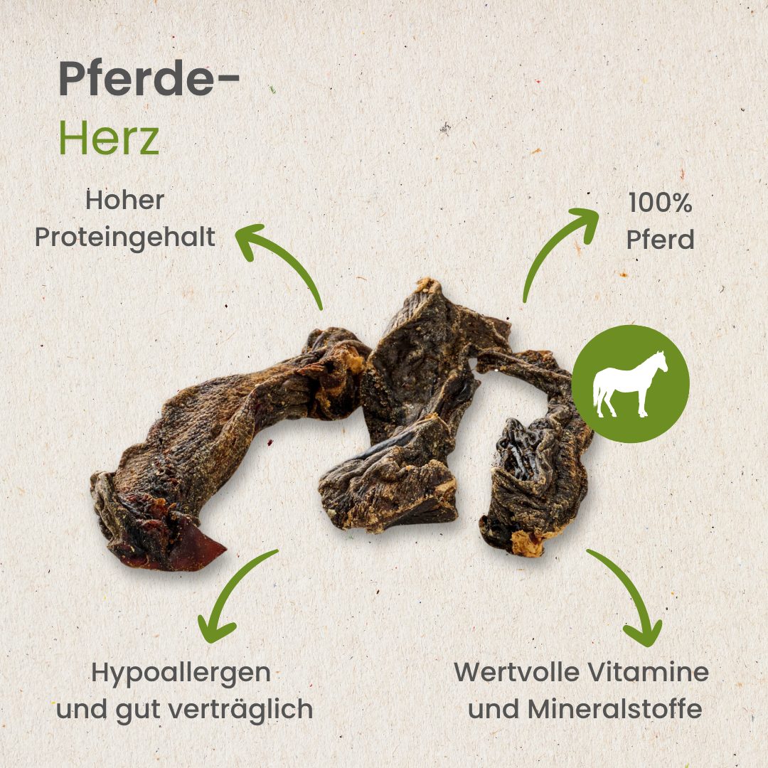 Pferde-Herz