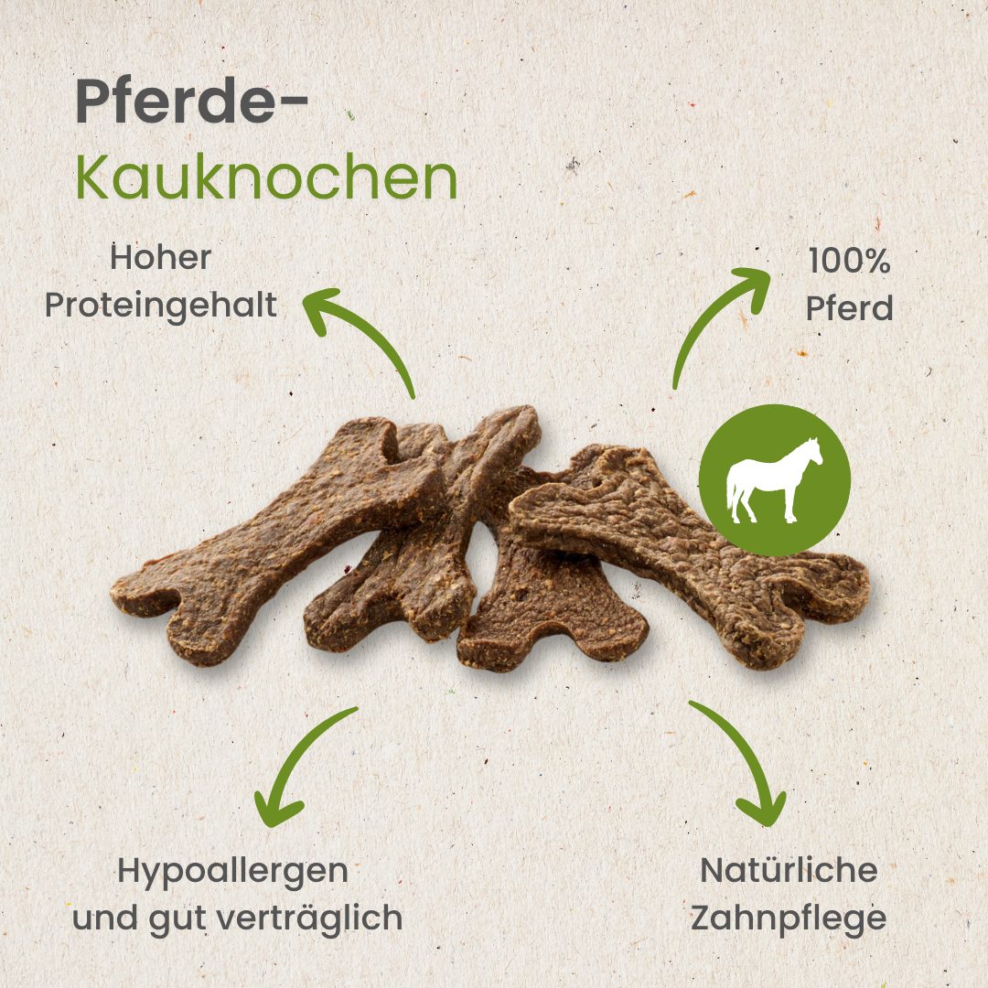 Pferde-Kauknochen