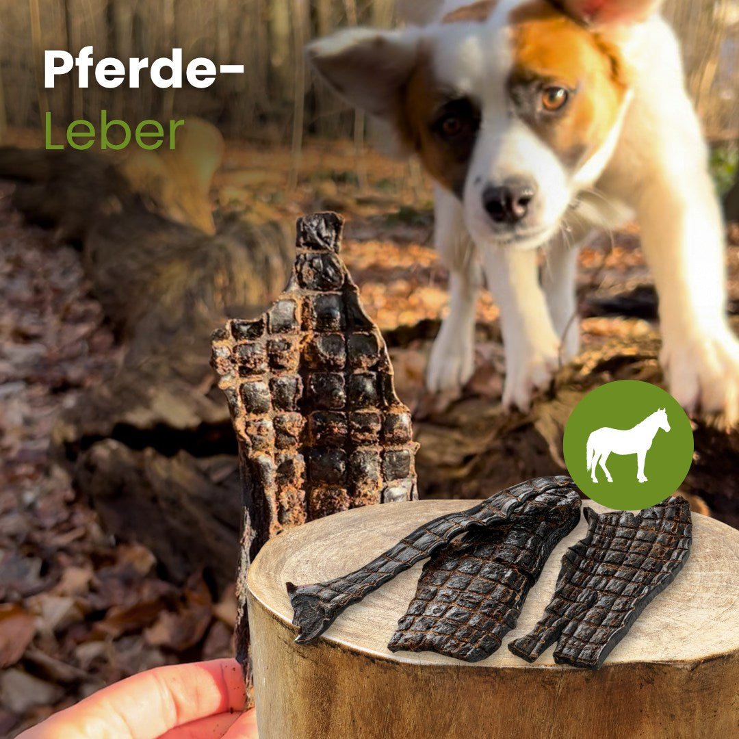 Pferde-Leber