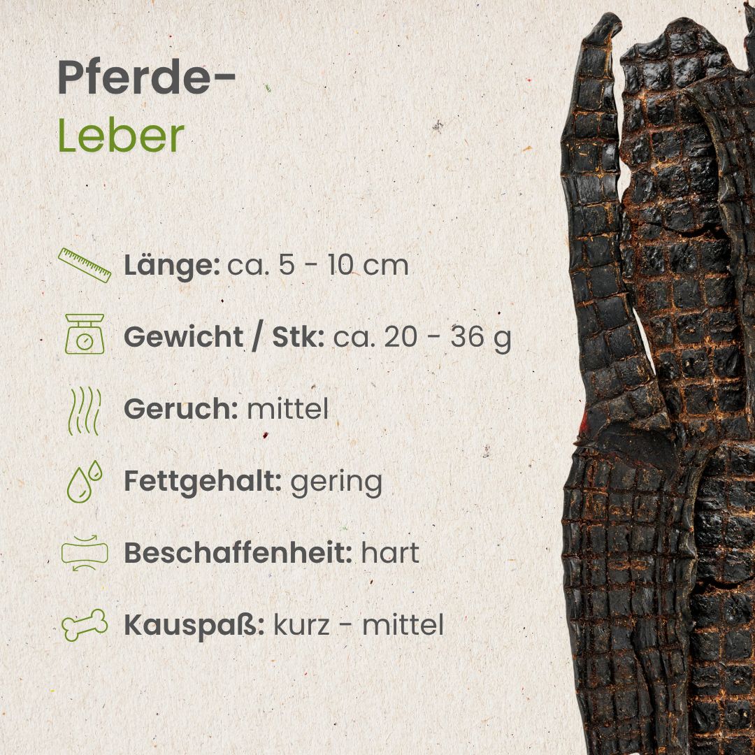 Pferde-Leber