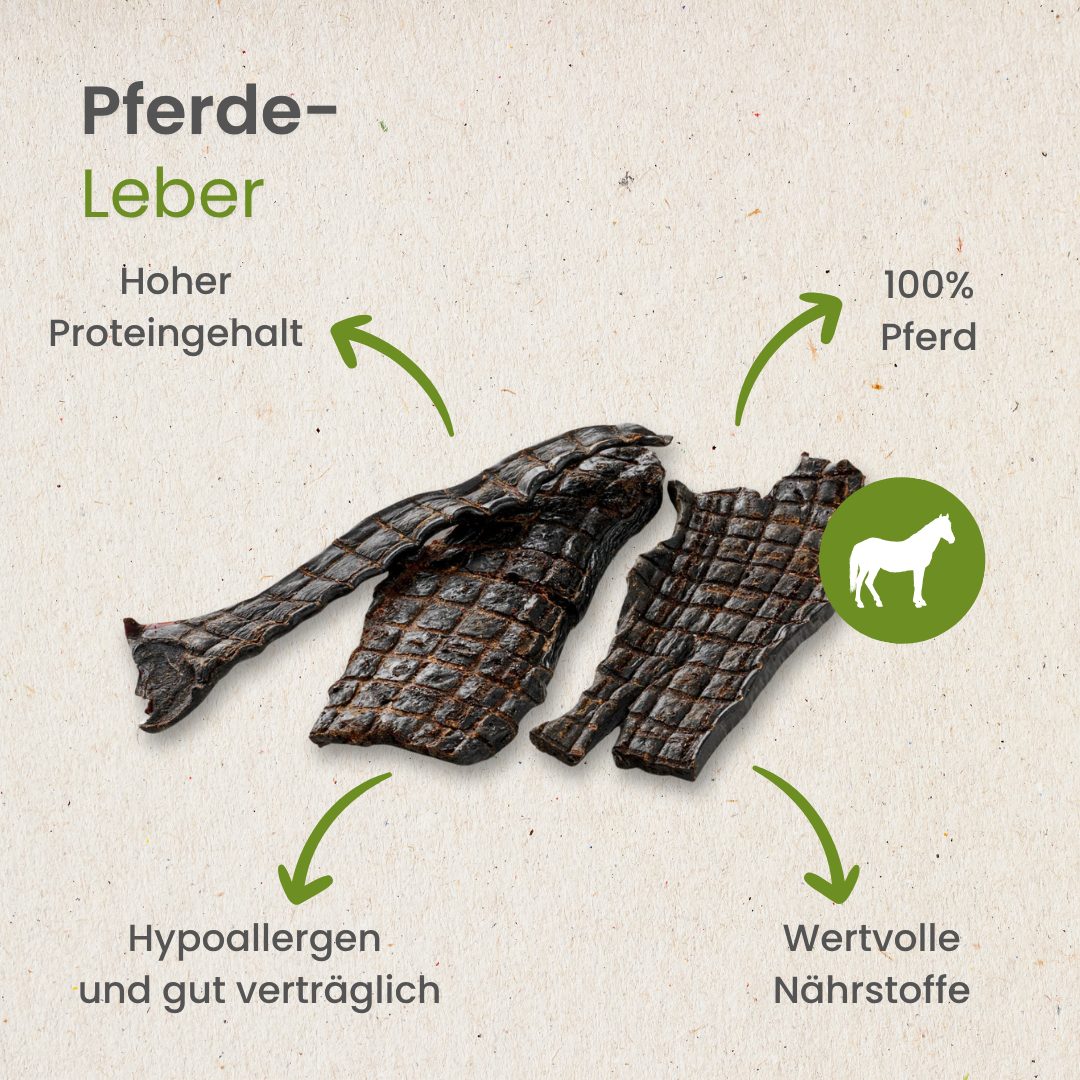 Pferde-Leber