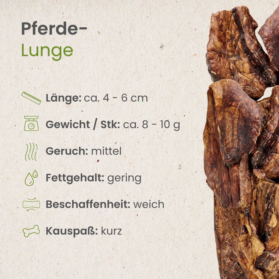 Pferde-Lunge