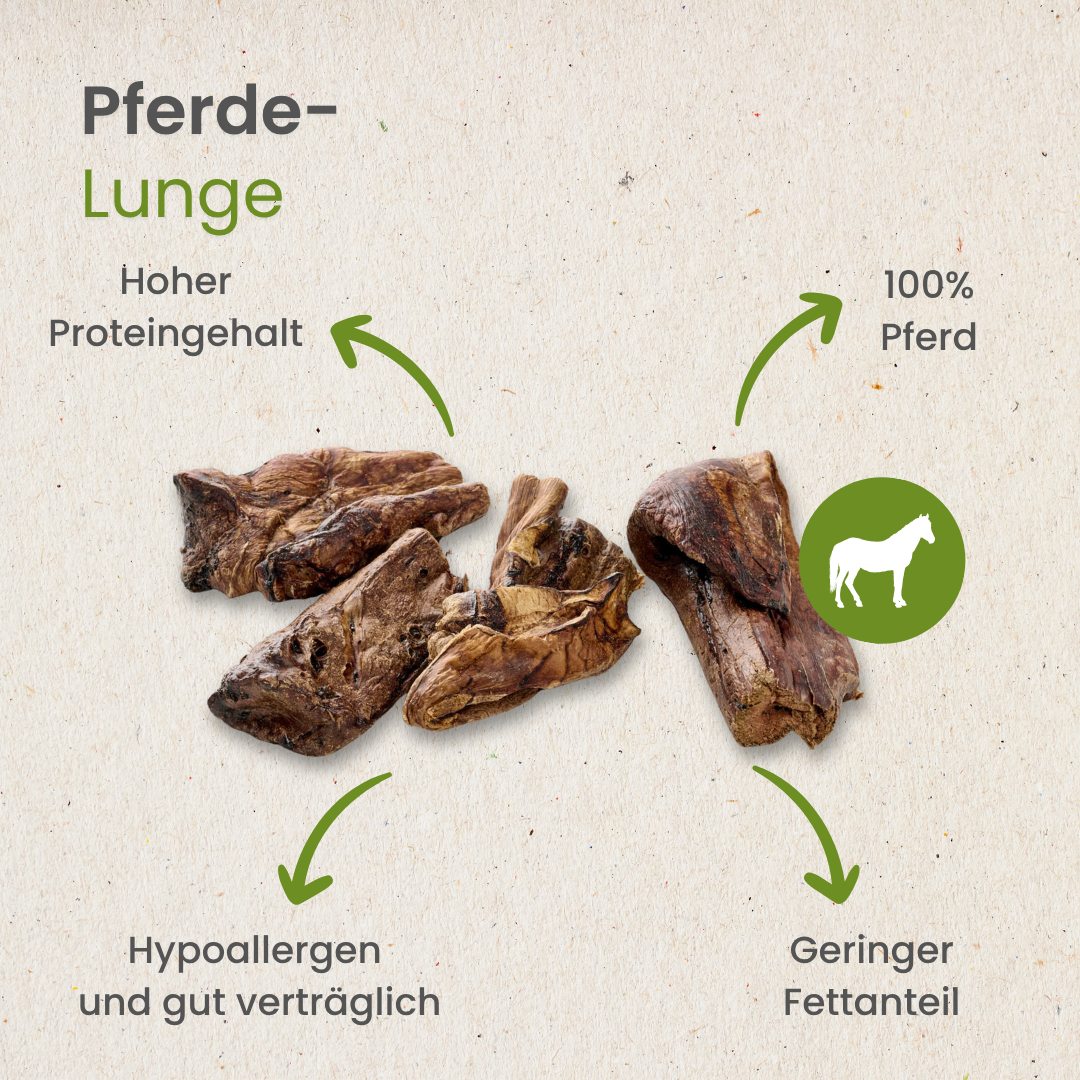 Pferde-Lunge