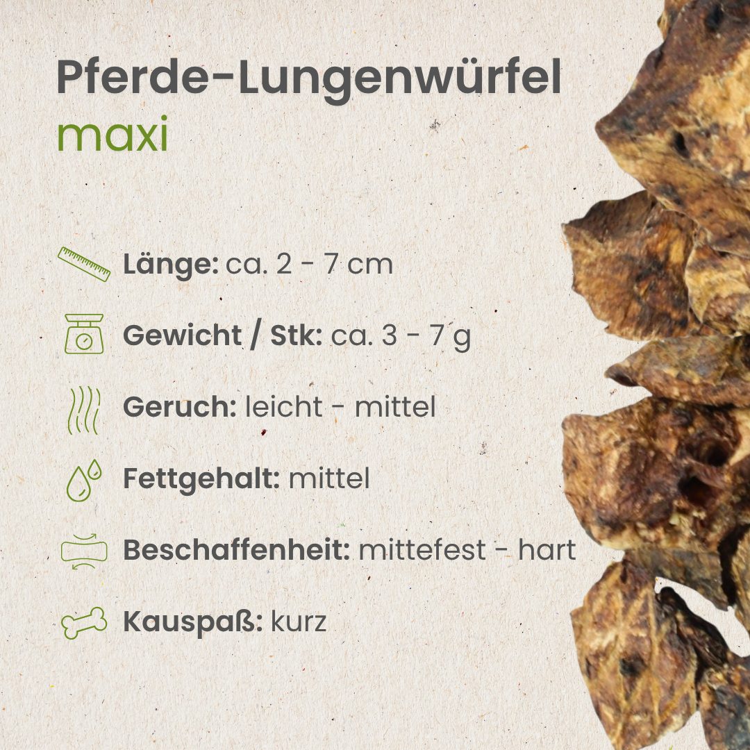 Pferde-Lungenwürfel Maxi
