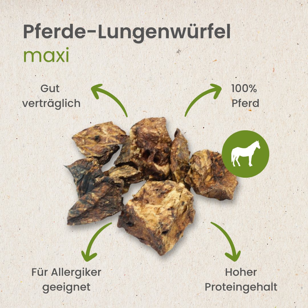 Pferde-Lungenwürfel Maxi