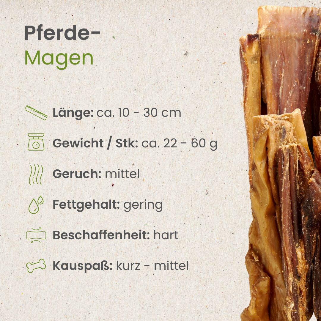 Pferde-Magen